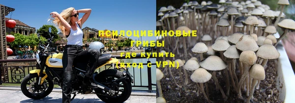марки nbome Аркадак