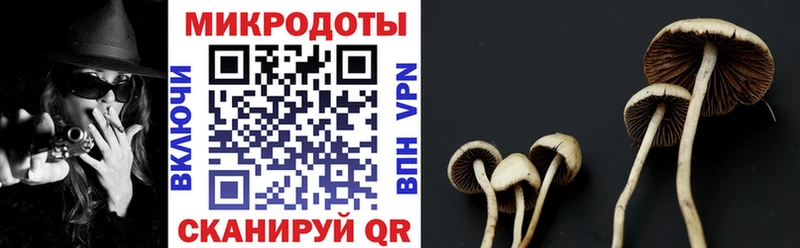 Галлюциногенные грибы Cubensis Удачный